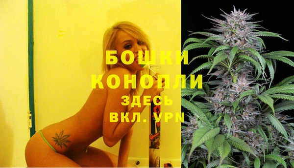 гашик Слюдянка