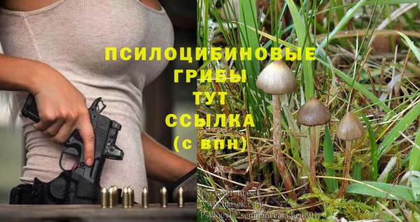 гашик Слюдянка