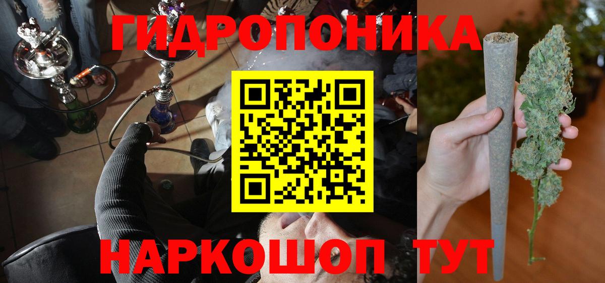 Канабис планчик Истра